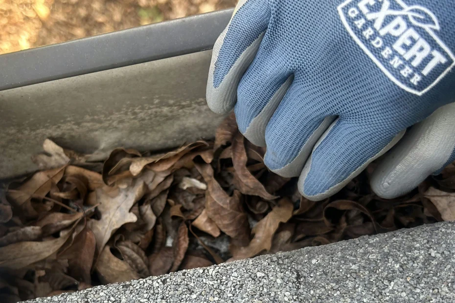 Middletown Gutter Cleaning
